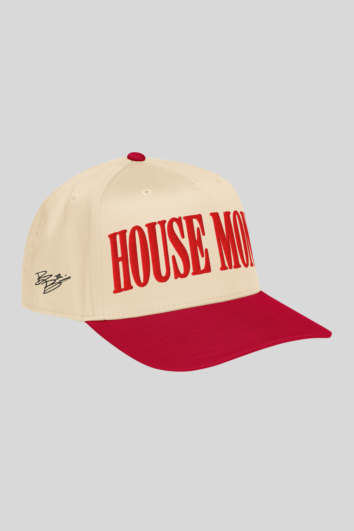 HOUSE MONEY Snapback