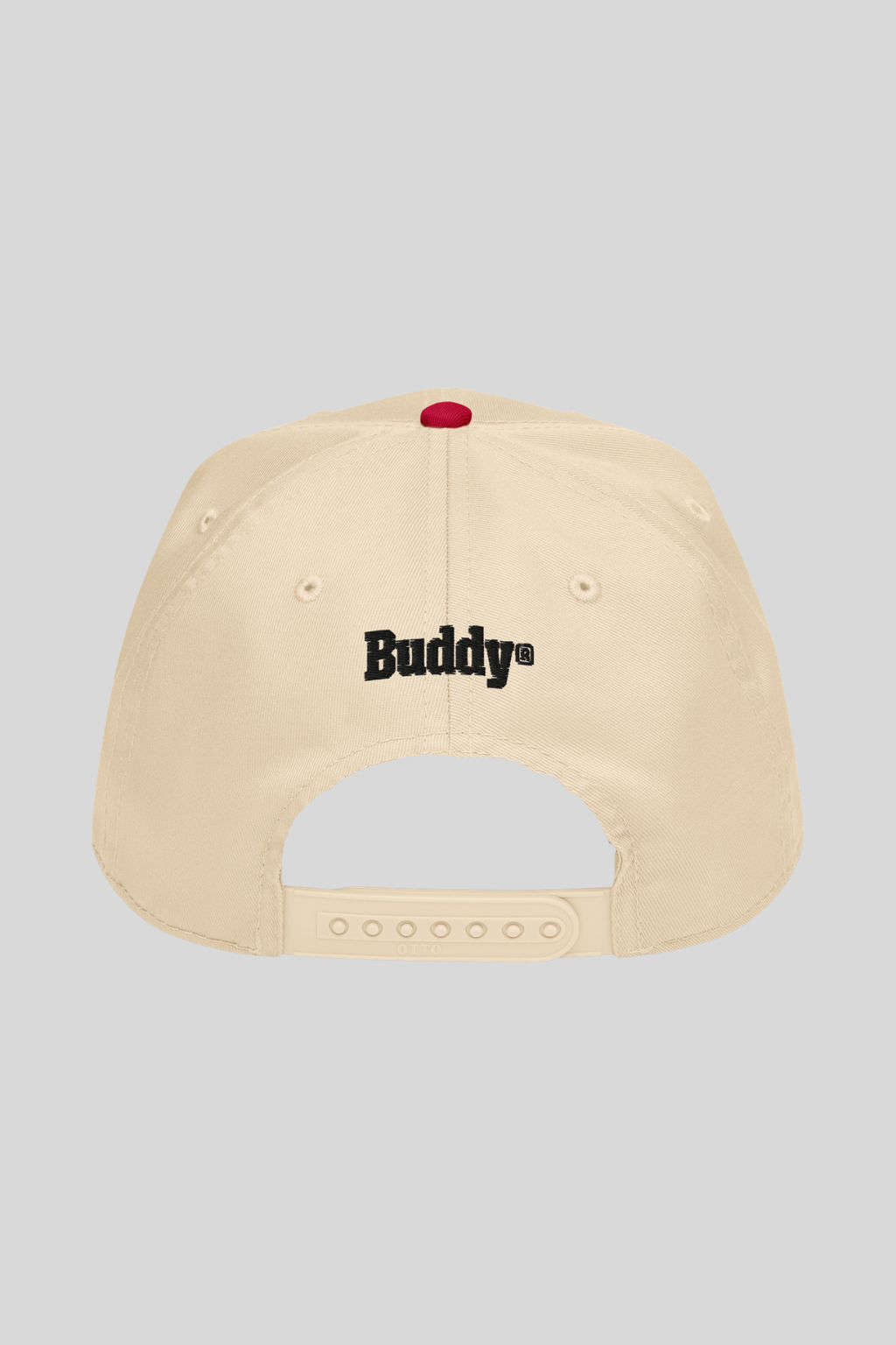 HOUSE MONEY Snapback